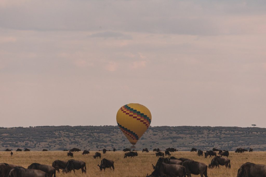 Planning Your Dream Safari in Tanzania: A Comprehensive Guide